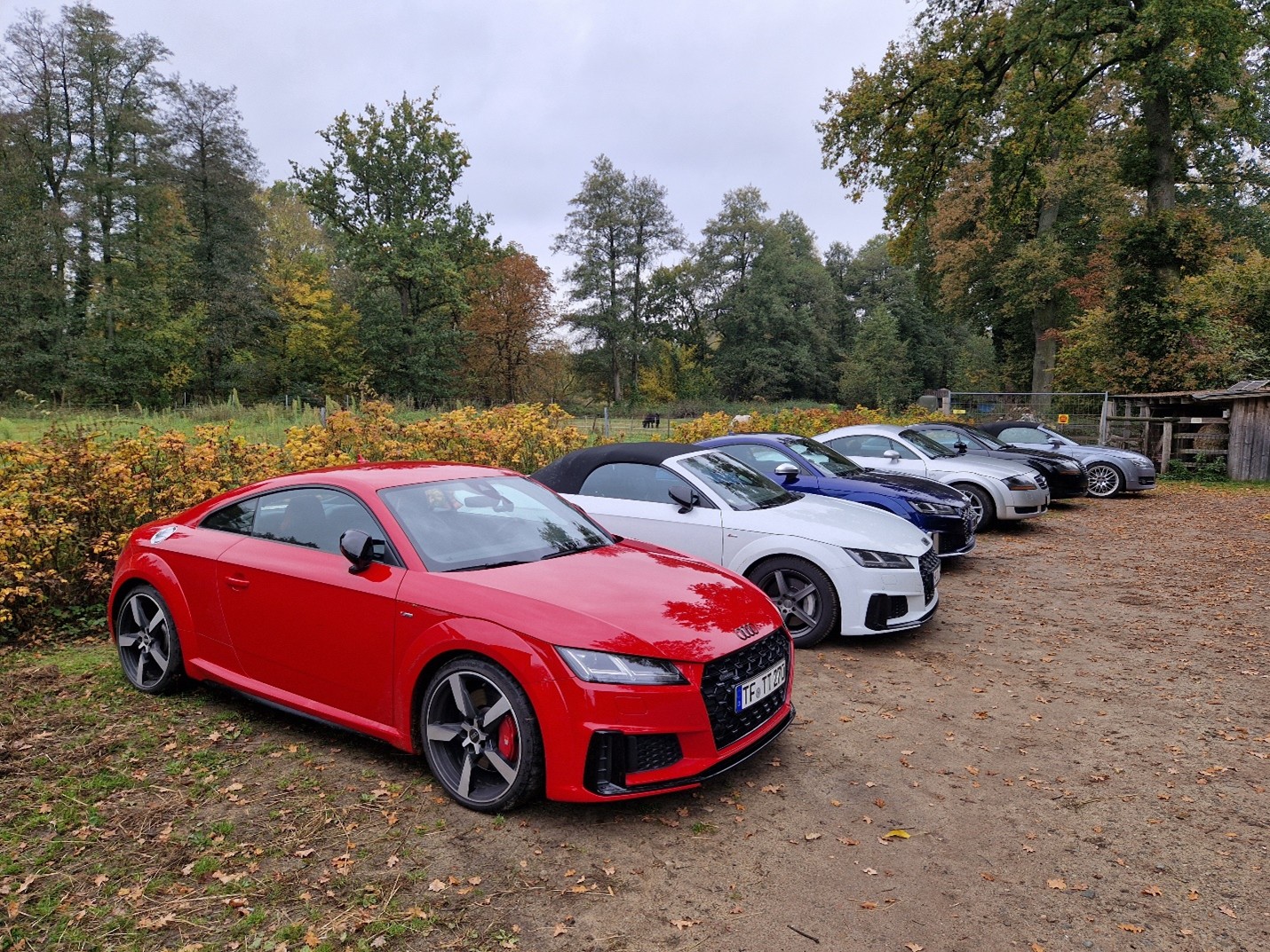 Tortenmeister am 11. Oktober 2025